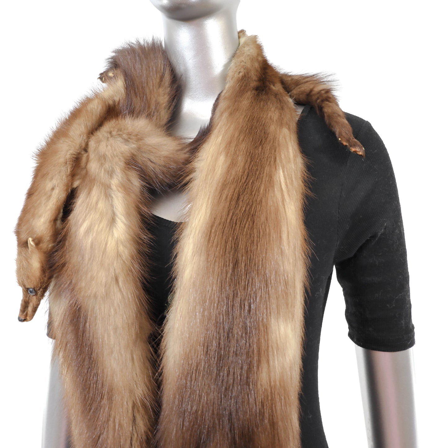 Stone Martin Boa- Size Free