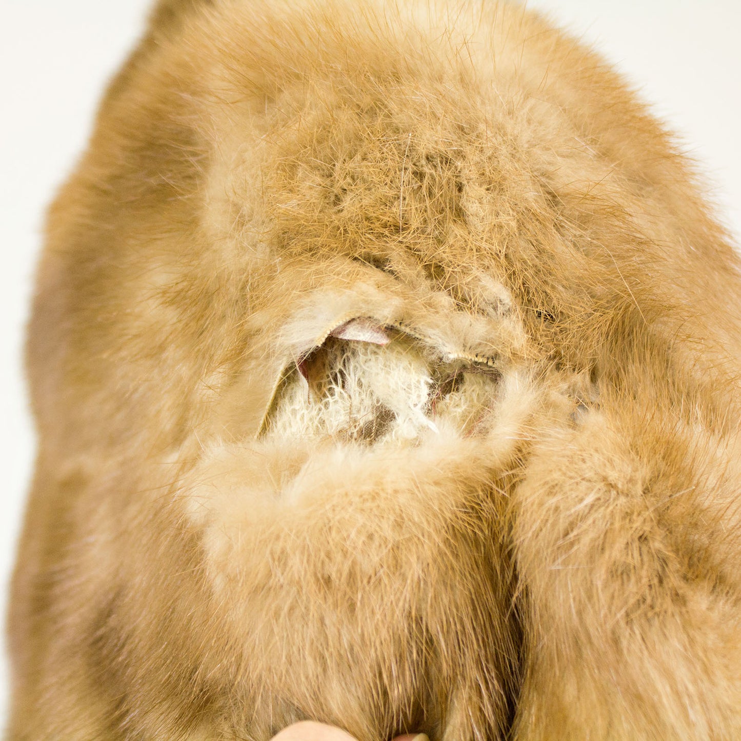 Autumn Haze Mink Cape - Size S