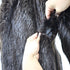 products/beavercoat-42571.jpg
