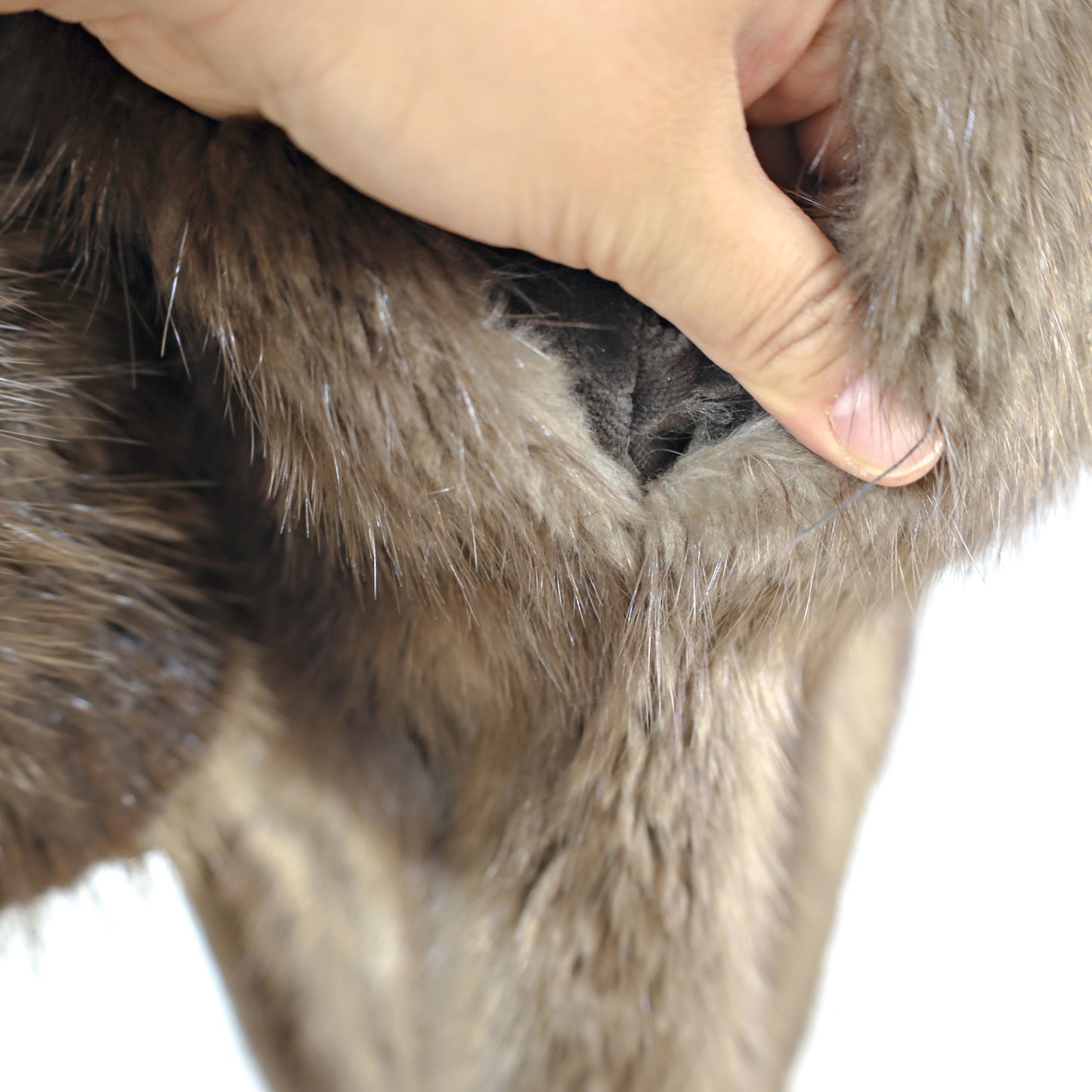 Bloomingdale's Long Hair Beaver Coat- Size M
