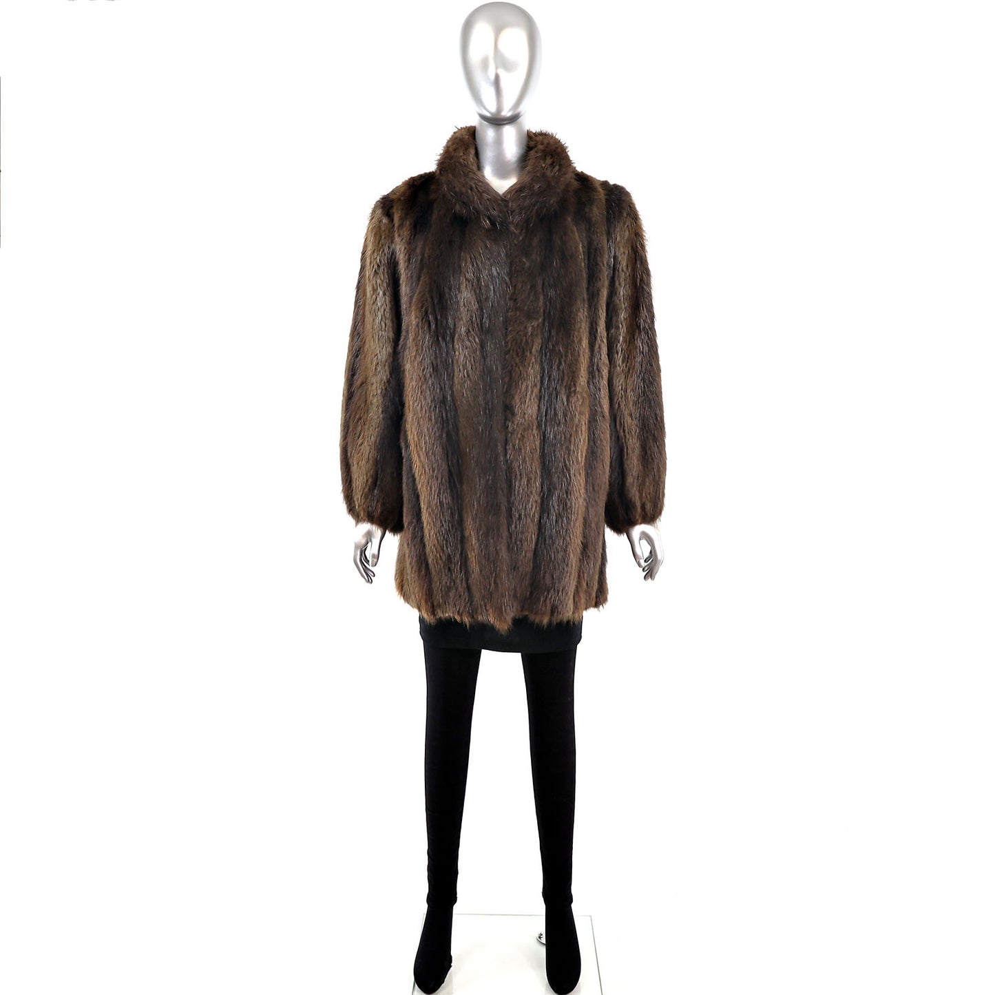 Long Hair Beaver Stroller- Size M