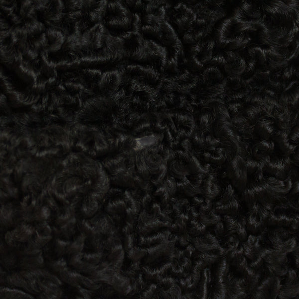 Black Persian Jacket with Tourmaline Mink Collar - Size XL (Vintage Furs)