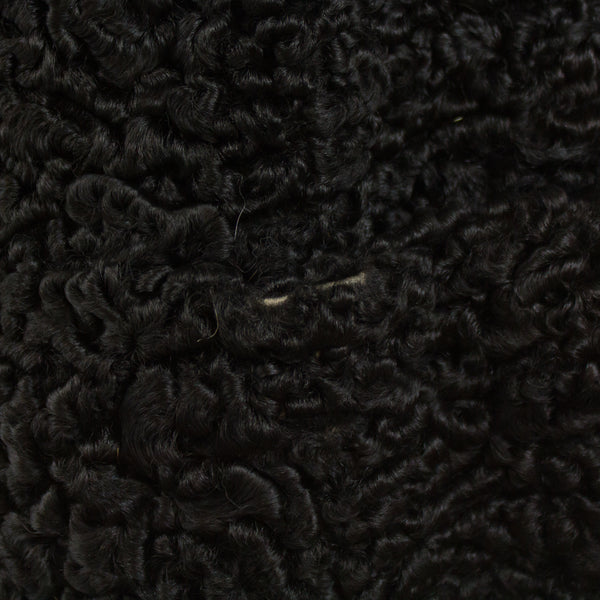 Black Persian Jacket with Tourmaline Mink Collar - Size XL (Vintage Furs)