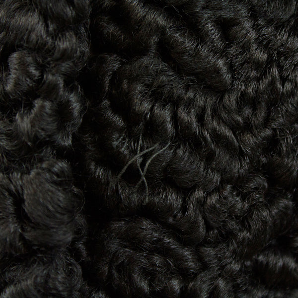 Black Persian lamb with mink collar jacket - Size S (Vintage Furs)
