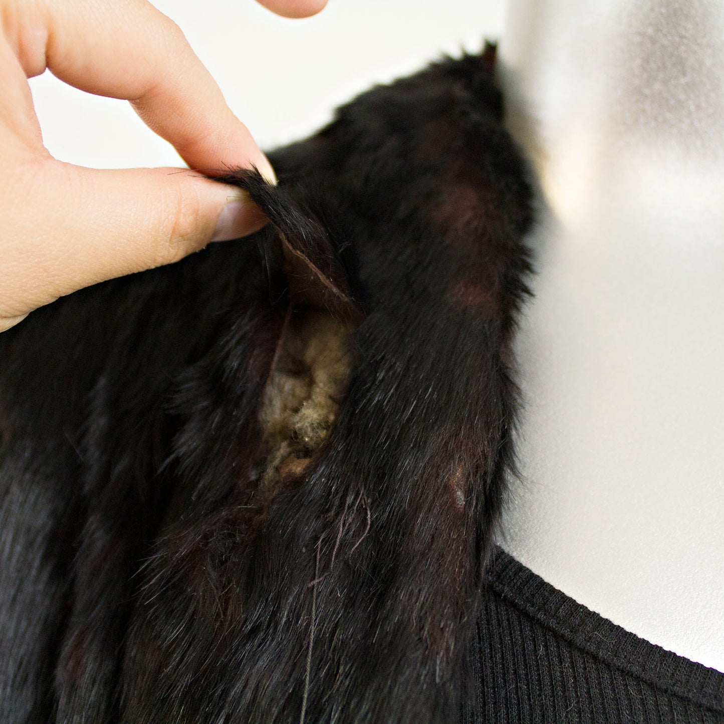 Black Rabbit Jacket - Size S
