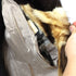 products/fitchcoat-23494.jpg