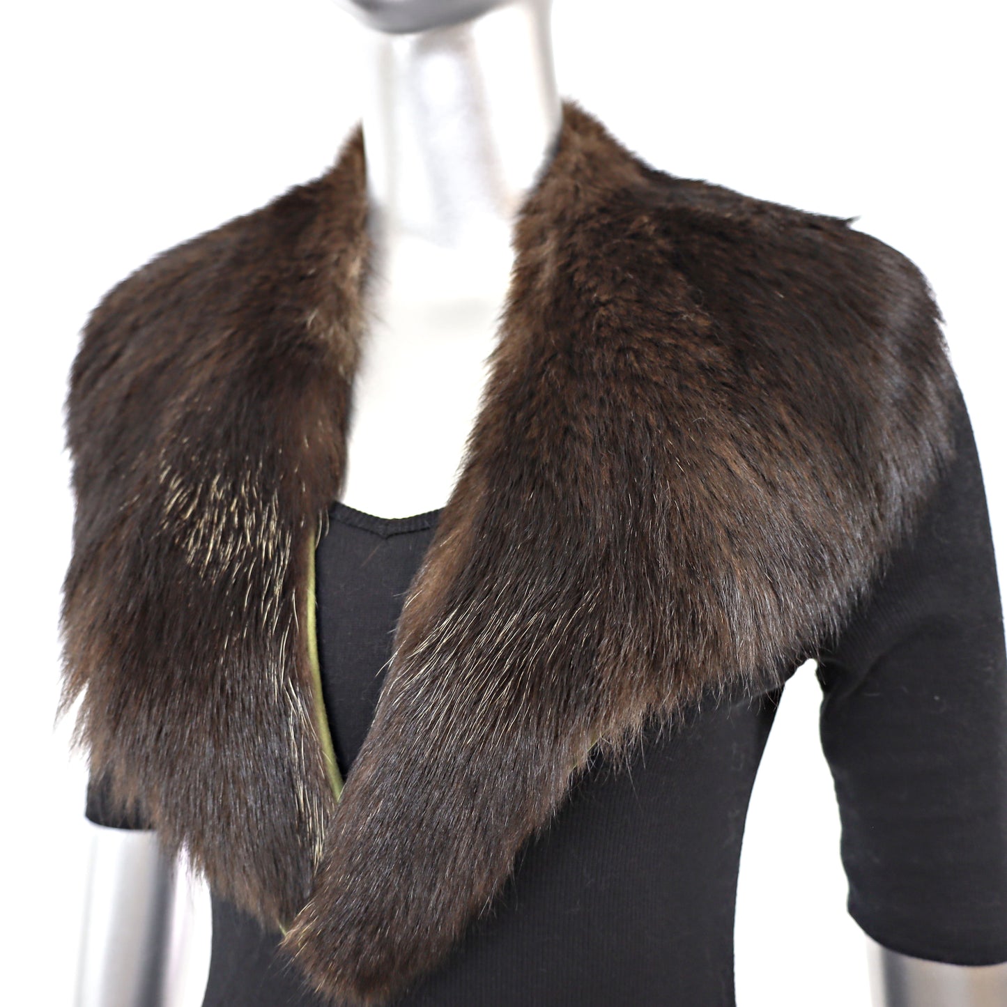 Fox Collar- Free Size