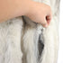 products/foxjacket-51020.jpg