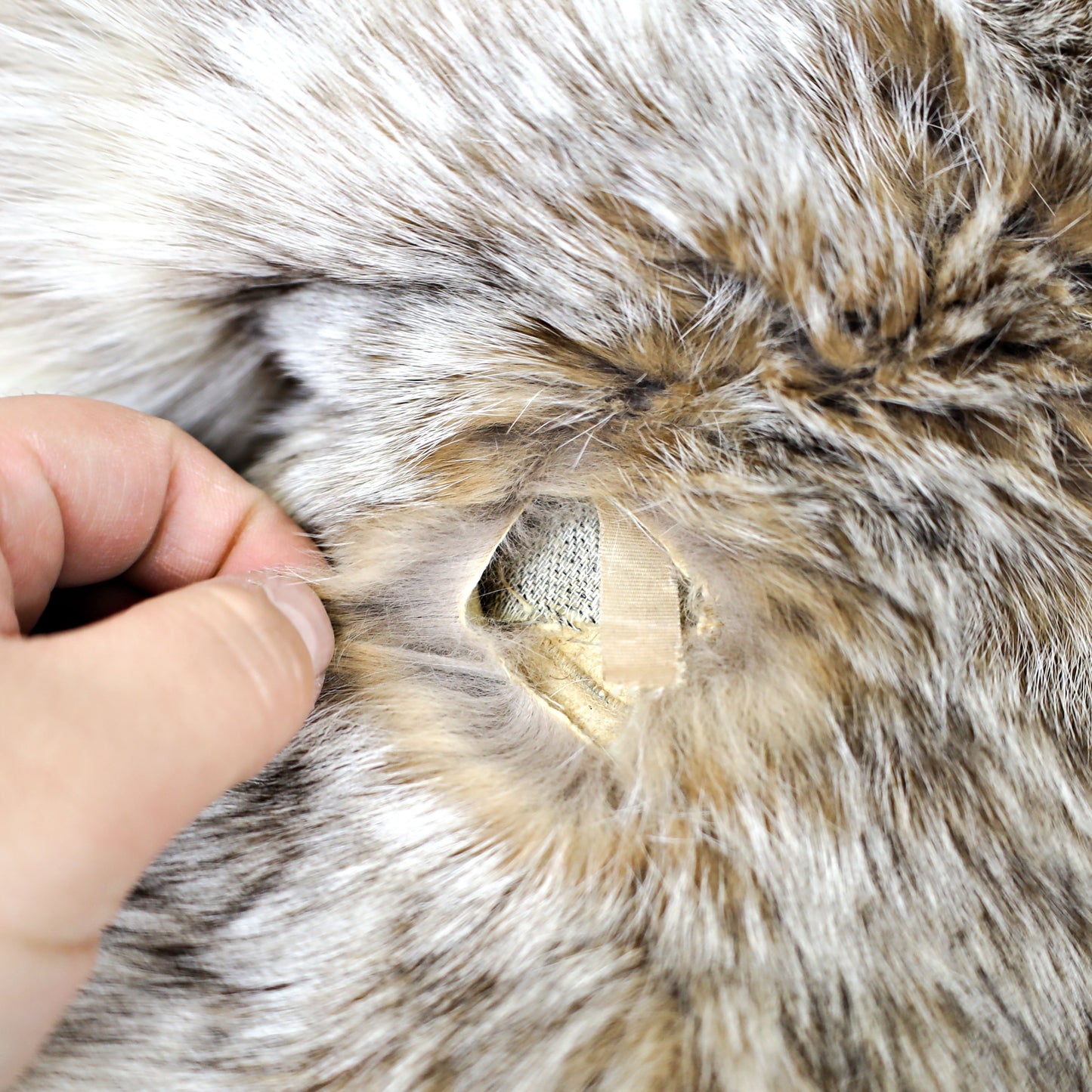 Lynx Coat- Size M