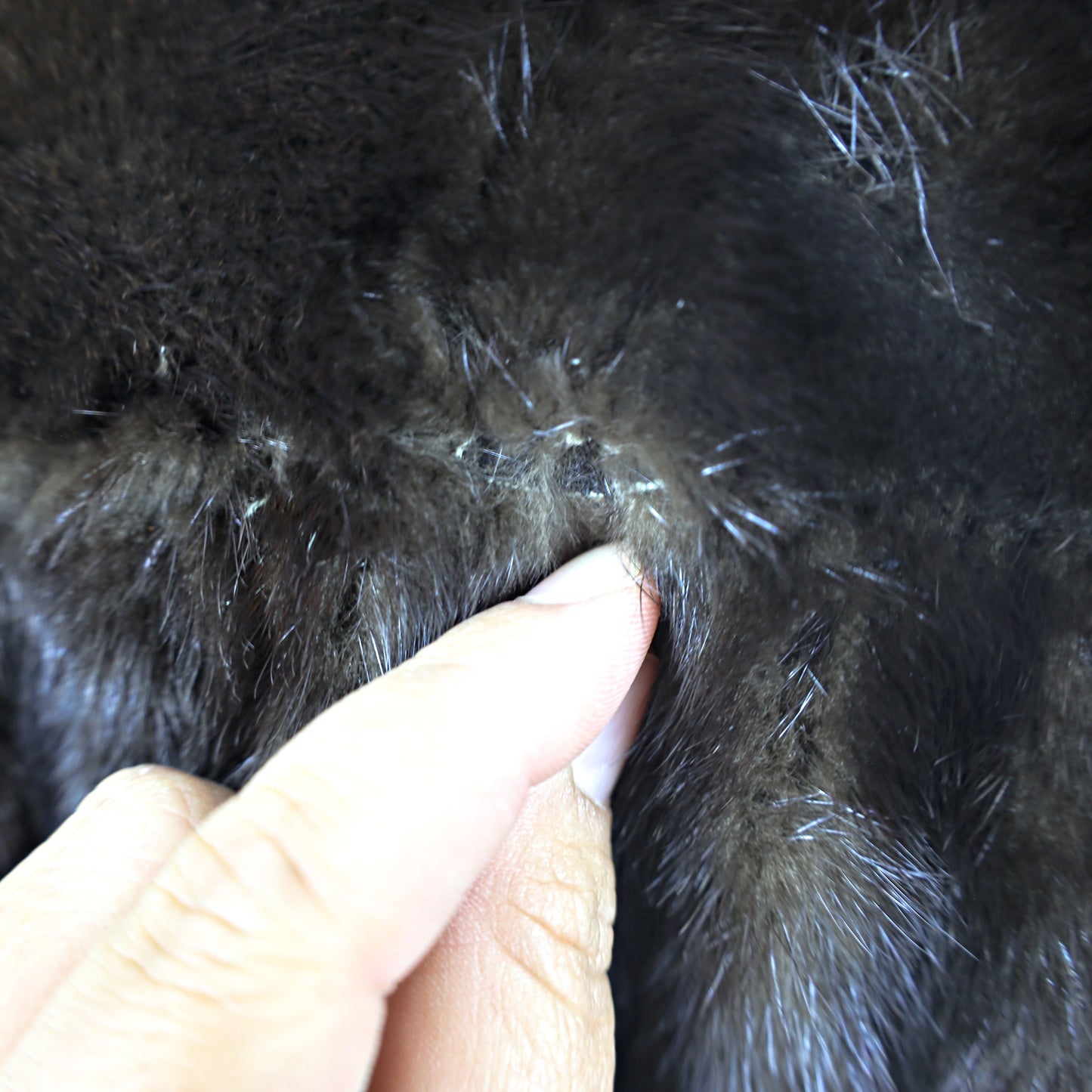 Black Mink Coat- Size XL