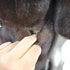products/minkcoat-54994.jpg
