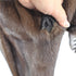products/minkcoat-58431.jpg