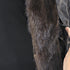 products/minkcoat-59319.jpg