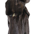 products/minkcoat-59328.jpg