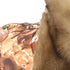 products/minkcoatwithleatherinsert-26206.jpg