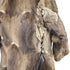 products/muskratcoat-59351.jpg