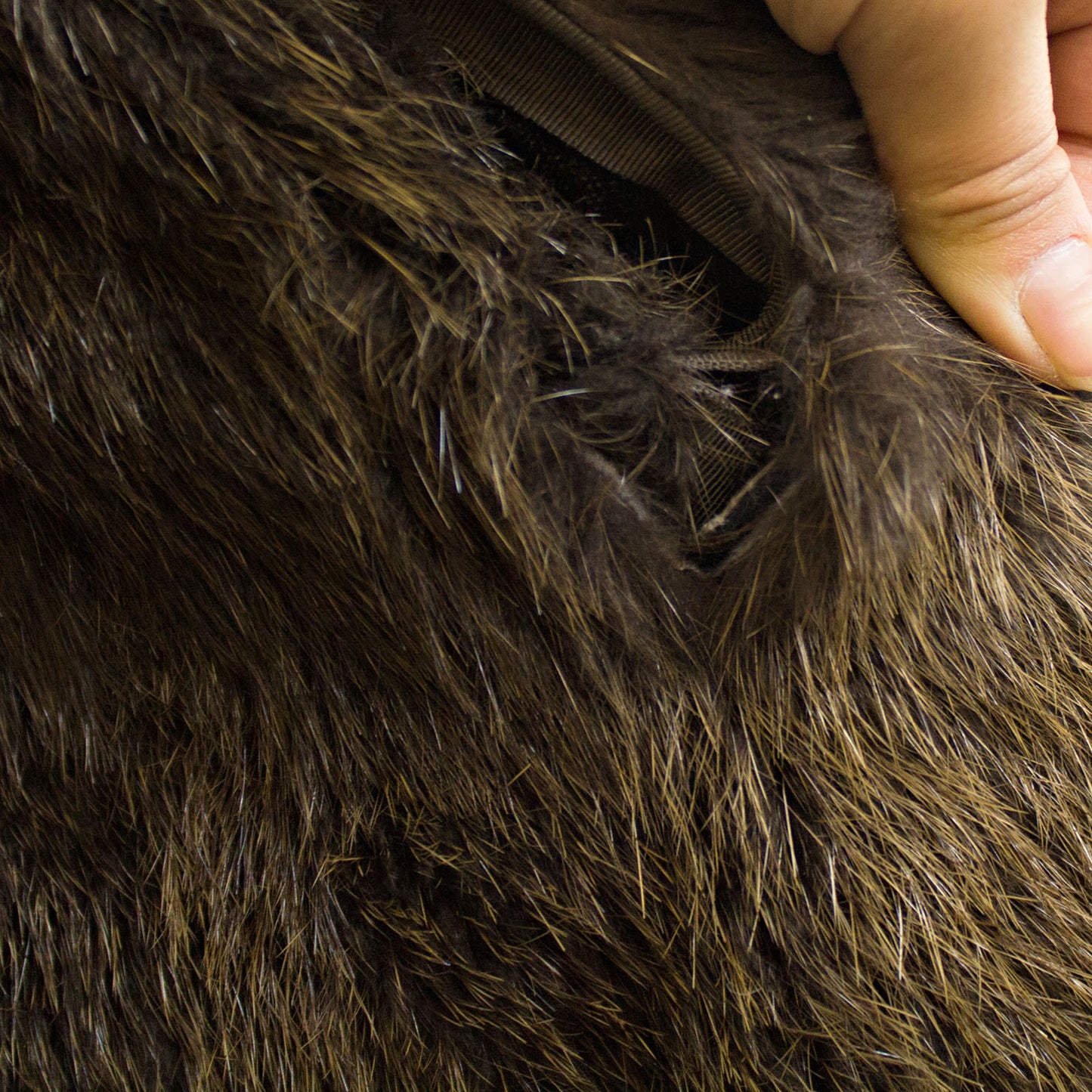 Nutria Coat with Raccoon - Size S
