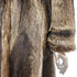 products/raccooncoat-35165.jpg