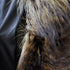 products/raccooncoat-39455.jpg