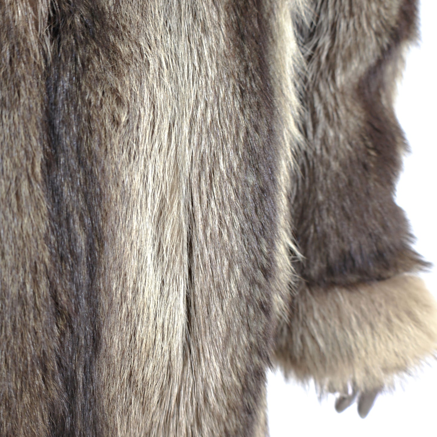 Raccoon Coat- Size L