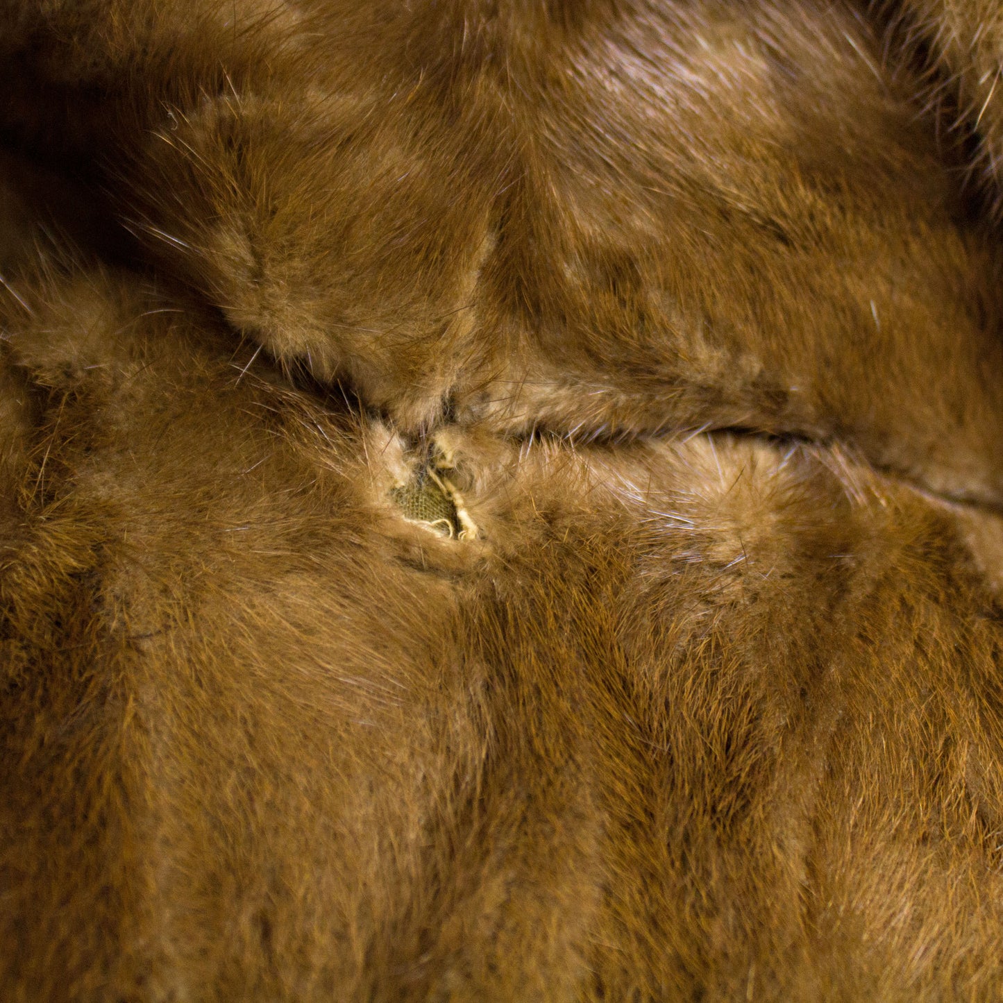 Section Mahogany Mink 3/4 Jacket- Size L