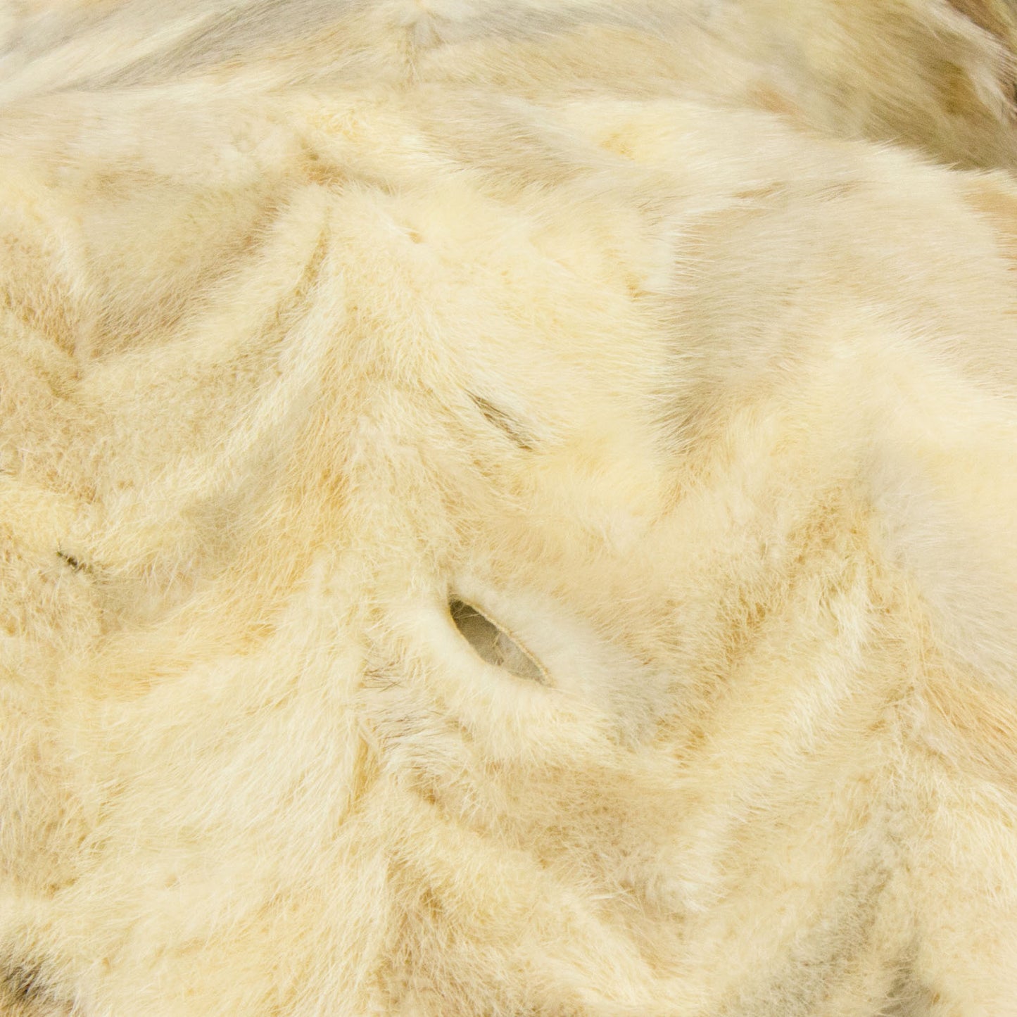 Section Mink 7/8 Coat- Size XXS