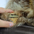 products/sectionraccoonjacketwithsuedetrim-21546.jpg