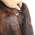 products/squirrelcoat-33163.jpg