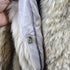 products/wolfcoat-31525.jpg
