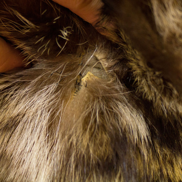 Women's Raccoon Coat- Size M-L (Vintage Furs)